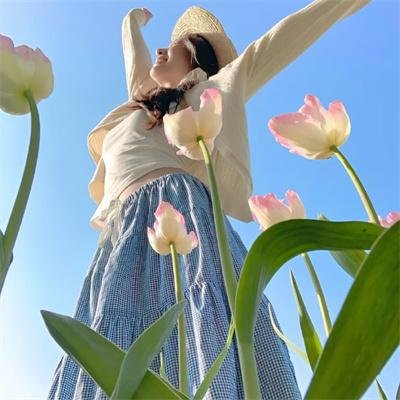 西部骑士